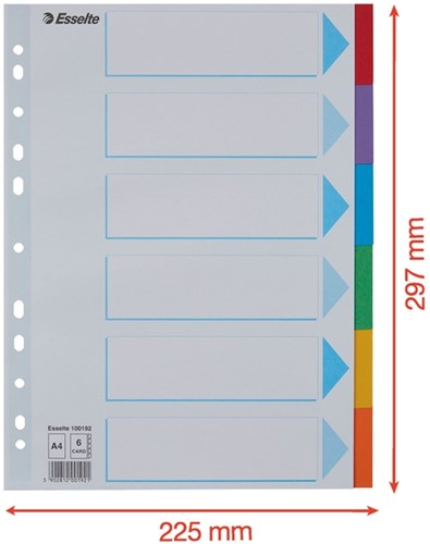 Tabbladen Esselte Standaard A4 6-delig karton 11-rings met voorblad assorti-2