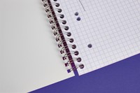 Collegeblok Clairefontaine Studium A5+ ruit 5x5mm 6-gaats 80 pagina's assorti-2