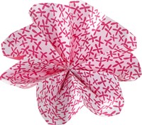Vouwblaadjes Folia 80gr 15x15cm 50 vel 2-zijdig 10 tropical designs-3