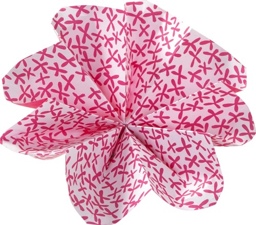 Vouwblaadjes Folia 80gr 15x15cm 50 vel 2-zijdig 10 tropical designs-3
