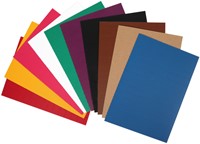 Golfkarton Folia E-golf 25x35cm 10 vel assorti-3