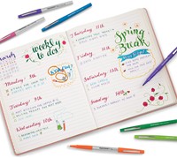 Fineliner Paper Mate Flair Tropical Vacation! medium assorti blister à 16 stuks-1