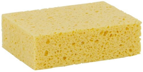 Spons Cleaninq viscose groot-2
