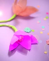 Crêpepapier Folia 250x50cm nr122 donker violet-3