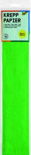 Crêpepapier Folia 250x50cm nr140 kerstgroen-2