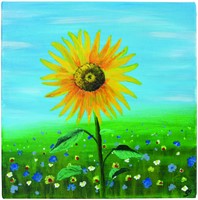 Schildersdoek Qrea Studio 60x80cm-3