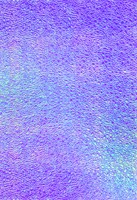 Regenboogpapier Folia 23x33cm iriserend 75gr 10 vel assorti-2