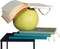 Notitieboek Rhodia A5 lijn 80 vel 90gr saliegroen-3