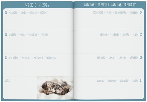Agenda 2025 Lannoo My Favourite Friends 7dagen/2pagina's-2