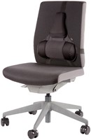 Rugsteun Fellowes Pro Ultieme-1