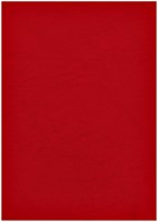 Voorblad Fellowes A4 lederlook rood 100 stuks-2
