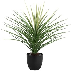 PTMD Tree green yucca tree in black plastic pot