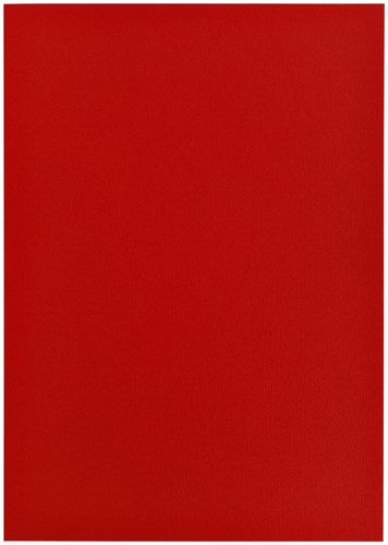 Kopieerpapier Papicolor A4 100gr 12 vel rood-3