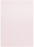 Kopieerpapier Papicolor A4 100gr 12 vel lichtroze-3