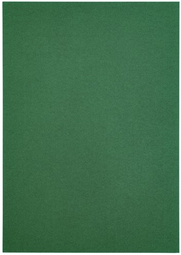 Kopieerpapier Papicolor A4 100gr 12 vel dennengroen-3
