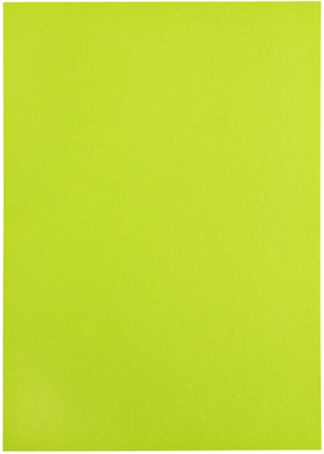 Kopieerpapier Papicolor A4 100gr 12 vel appelgroen-3