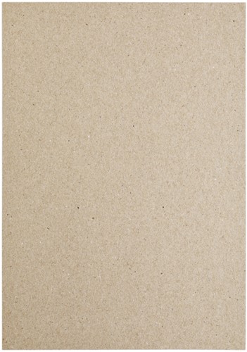 Kopieerpapier Papicolor A4 100gr 12 vel kraft grijs-3