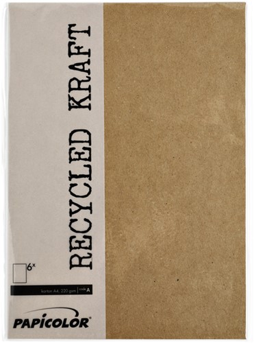 Kopieerpapier Papicolor A4 100gr 12 vel kraft bruin-2