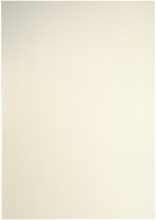 Kopieerpapier Papicolor A4 120gr 6 vel metallic ivoor-3