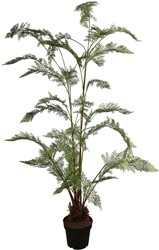 PTMD Tree Groen varenboom in zwarte plastic pot L