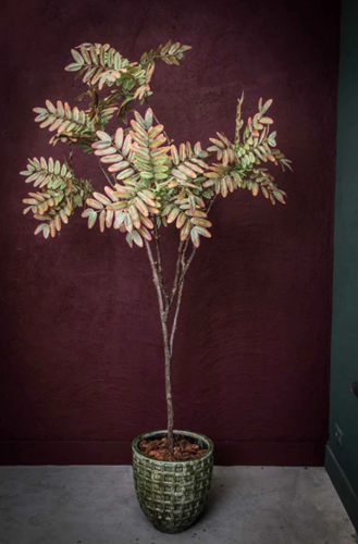 PTMD Johannes Broodboom Kunstplant - Groen/paars-2