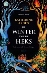 Winternacht De winter van de heks