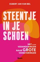 Steentje in je schoen Steentje in je schoen