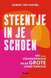 Steentje in je schoen Steentje in je schoen