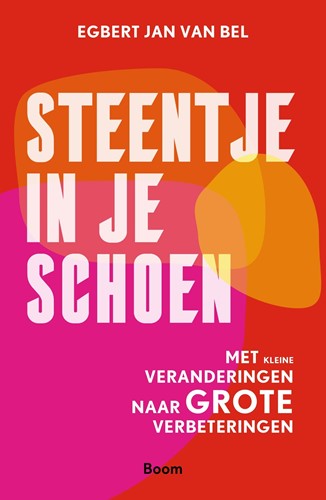 Steentje in je schoen Steentje in je schoen