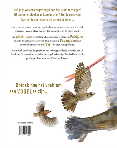 Zo voelt het om een vogel te zijn-2