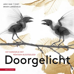 Doorgelicht Doorgelicht