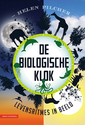 De biologische klok De biologische klok