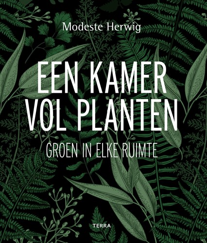 Een kamer vol planten Een kamer vol planten