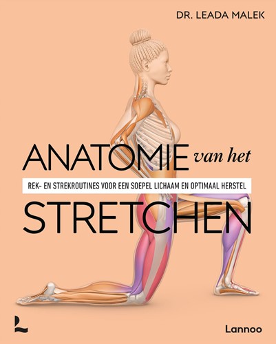 Anatomie van het stretchen Anatomie van het stretchen