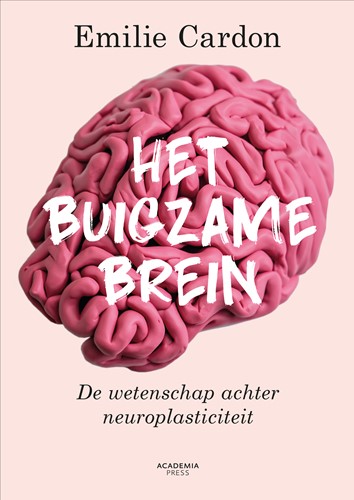 Het buigzame brein Het buigzame brein