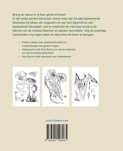 Het wilde planten kleurboek Het wilde planten kleurboek-2