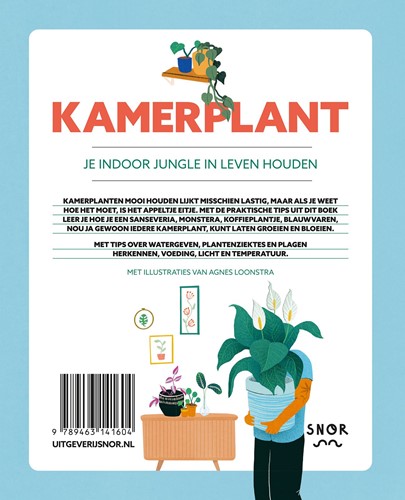 Kamerplant Kamerplant-2