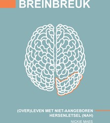 Breinbreuk Breinbreuk