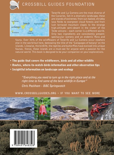 Crossbill guides Tenerife and La Gomera Tenerife and La Gomera-2