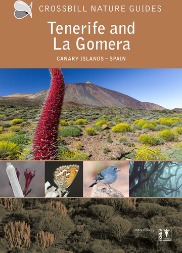 Crossbill guides Tenerife and La Gomera Tenerife and La Gomera