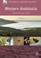 Crossbill guides Western Andalucia Western Andalucia