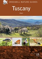 Crossbill guides Crossbill Guide Tuscany Crossbill Guide Tuscany