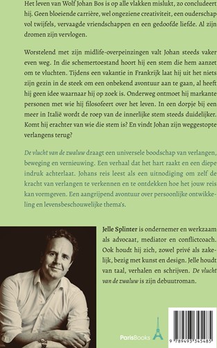 De vlucht van de zwaluw-2