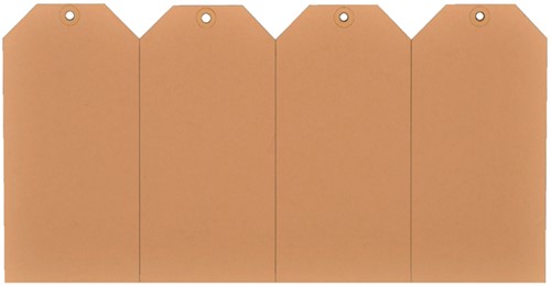 Label karton nr5 200gr 55x110mm chamois 1000 stuks-2