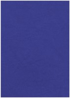 Voorblad Fellowes A4 lederlook royal blauw 25 stuks-2