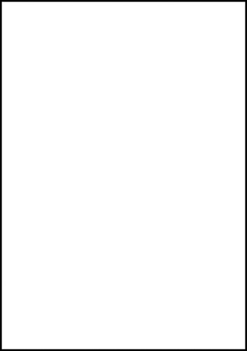 Etiket Avery Zweckform 6119 210x297mm A4 wit 25stuks-3