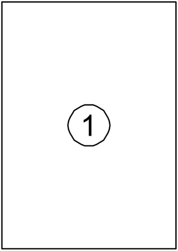 Etiket Avery DP001 210x297 wit 100stuks-2