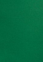 Voorblad GBC A4 lederlook groen 100stuks
