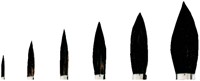 Penseel Pelikan 23 nr 10-2