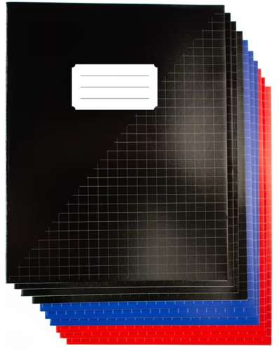 SCHRIFT A5 KANGARO RUIT 10MM PAK A 10 STUKS ASSORTI KLEUREN